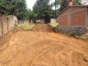 Proyecto particular Tepetate.jpg